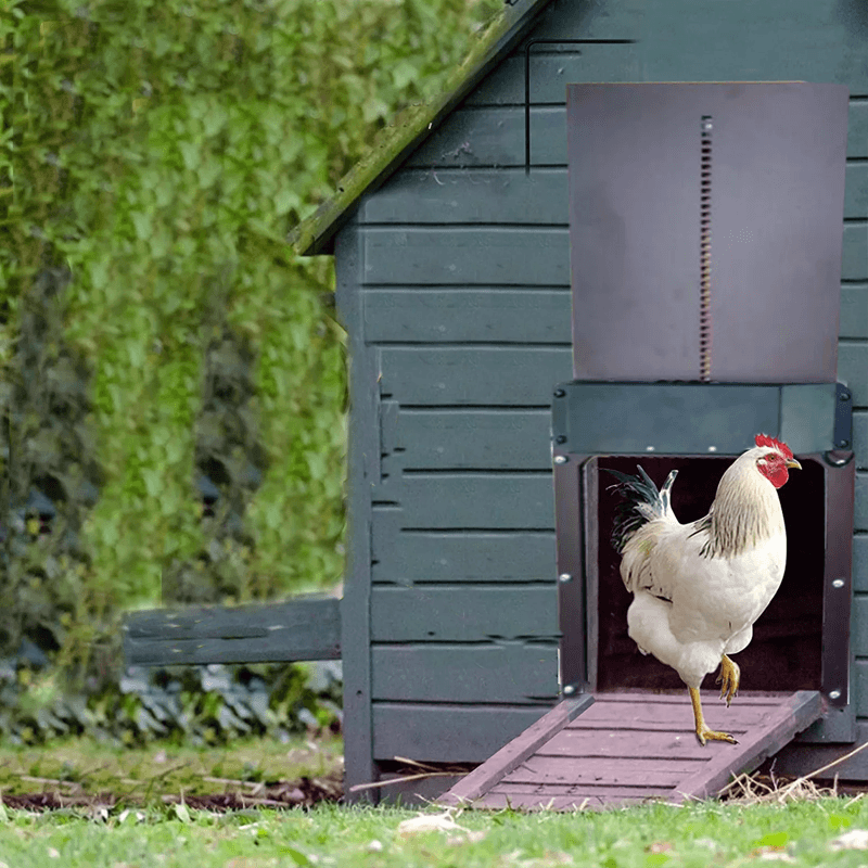 Automatic Chicken Coop Door with Light Sensing