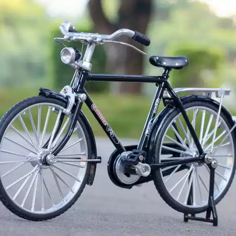 🎁50% OFF🎁Assembled Bicycle Model