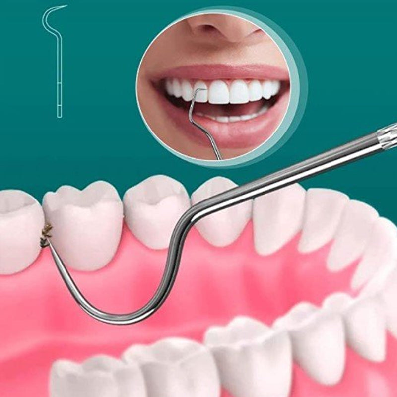 8pcs Portable Stainless Steel Toothpick Set Reusable Oral Cleaning Kit