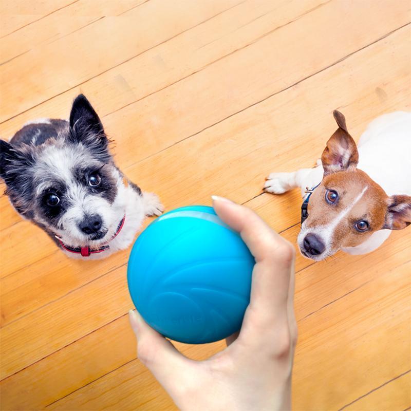 Happy Doggie Magic Ball Pet Motion Toy