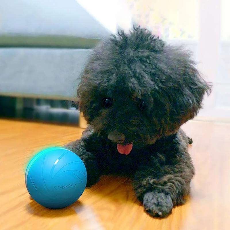Happy Doggie Magic Ball Pet Motion Toy