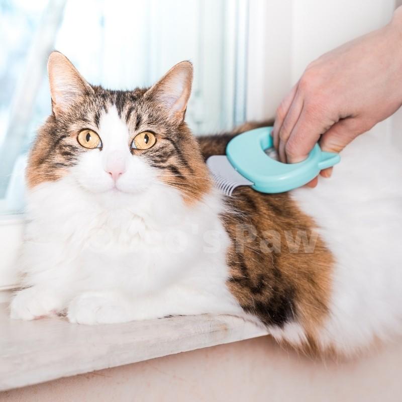 Massage & Grooming Pleasure for Cat - Hair Removal Massaging Shell Comb